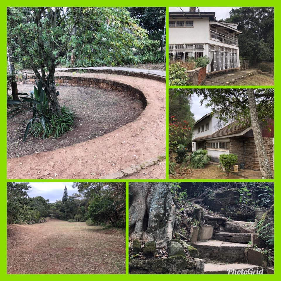 68880591_907467082964687_2385672544142229504_n