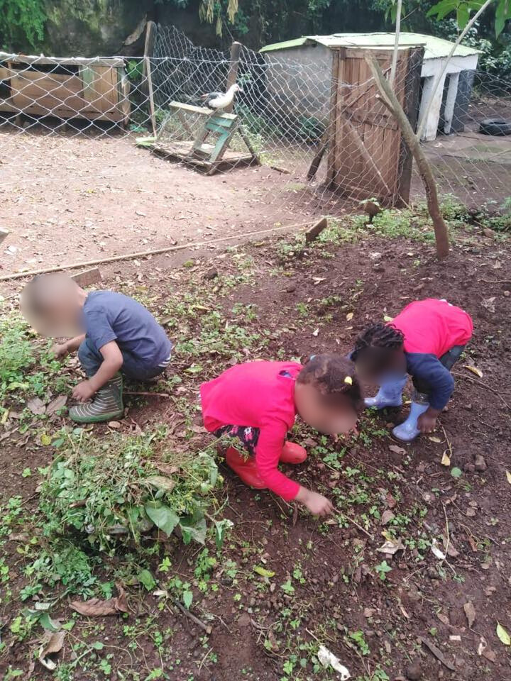 82341914_1035654216812639_2713266883972300800_n